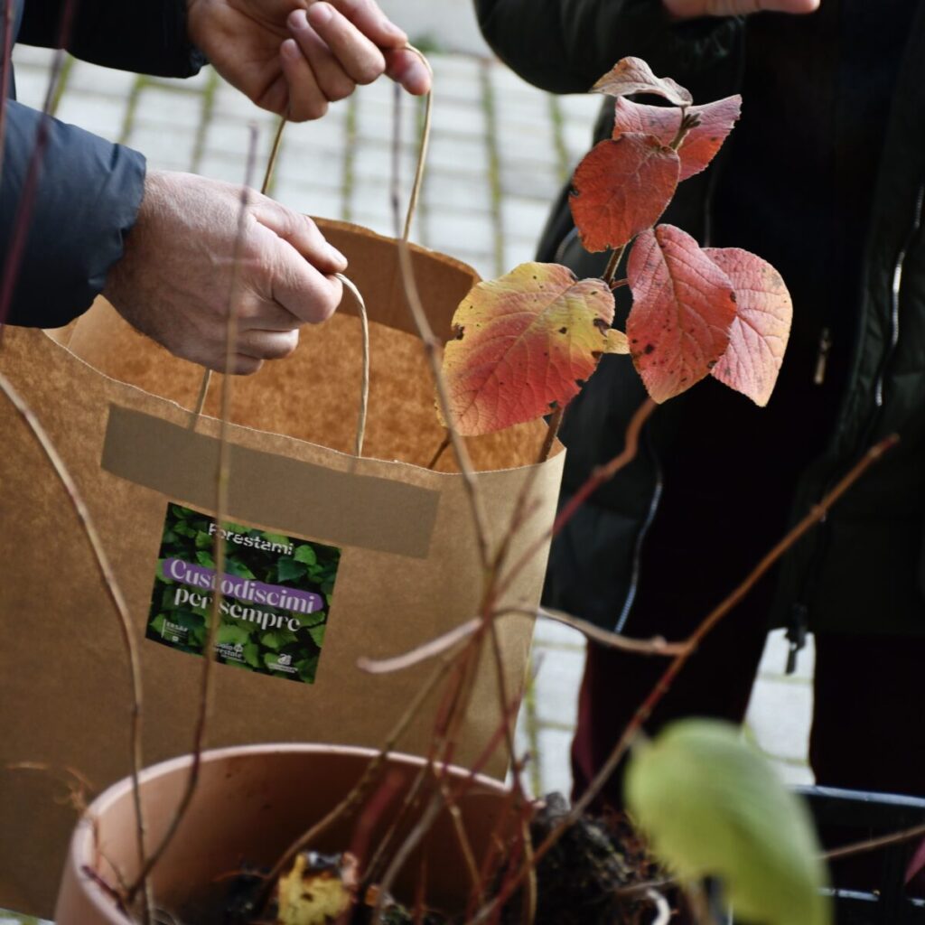 Forestami: Inizia a Milano la nuova edizione di Custodiscimi